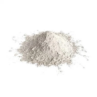 নিরোধক অবাধ্য কাস্টেবল